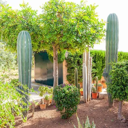 Ferienhaus Ses Salines With Private Pool And Barbecue *