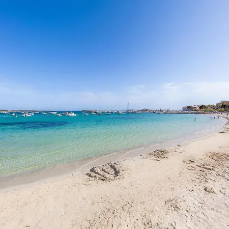 Ses Salines With Private Pool And Barbecue * Ses Salines (Mallorca)